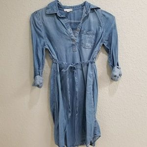 Liz Lange Jean Maternity Dress